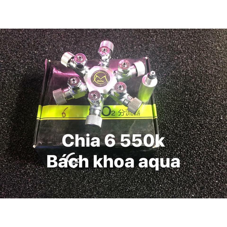 Chia co2  2-3-4-6 đủ size