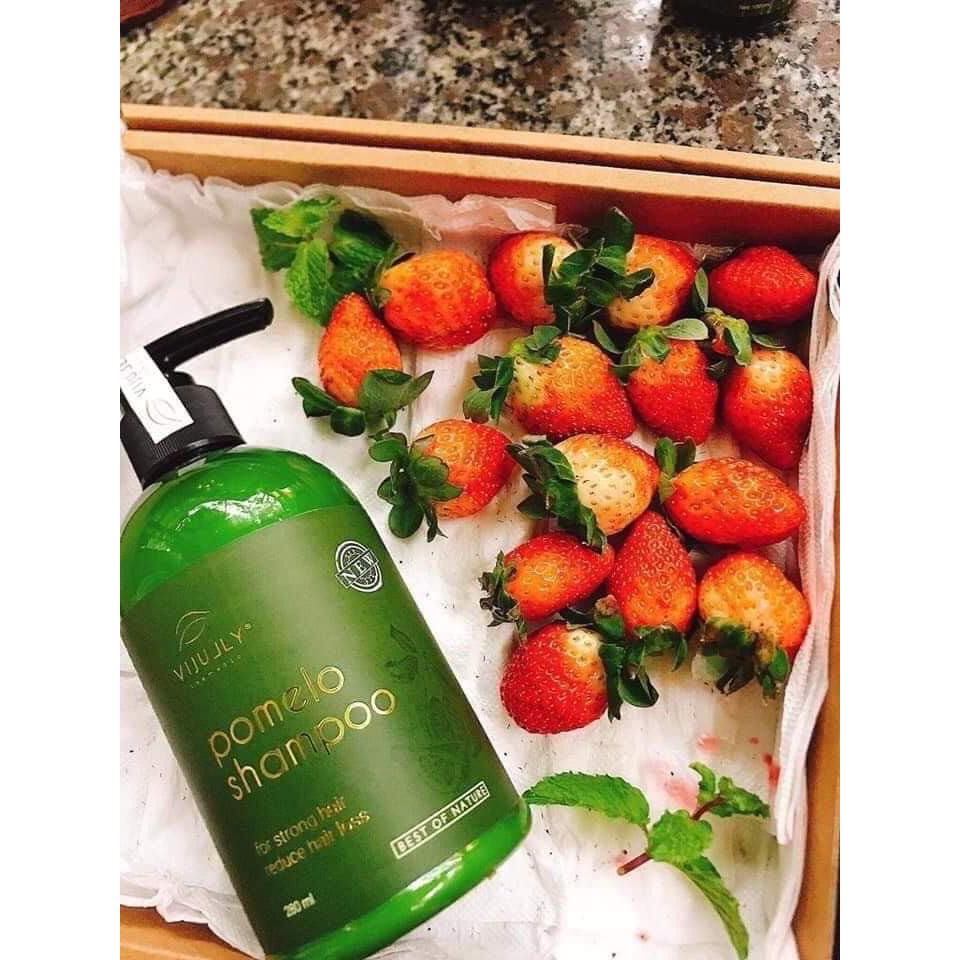 [GIẢM RỤNG RÕ RỆT] Dầu Gội Bưởi Cao Cấp ViJully - Kích Thích Mọc Tóc_Trị Rụng Tóc_Làm Dài Tóc_Phục Hồi Tóc Hư Tổn | BigBuy360 - bigbuy360.vn