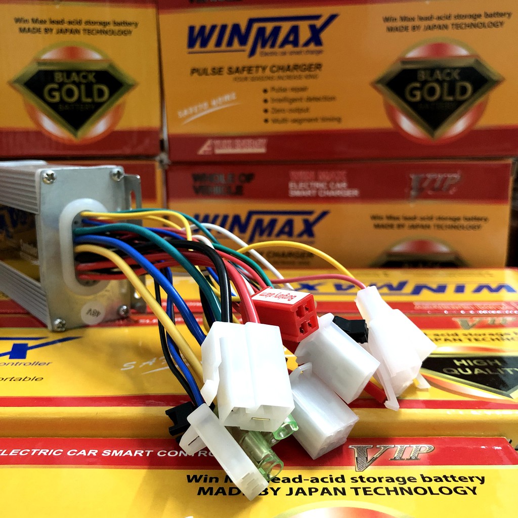 [Winmax] Ic khiển xe điện đa năng 350w 3in1