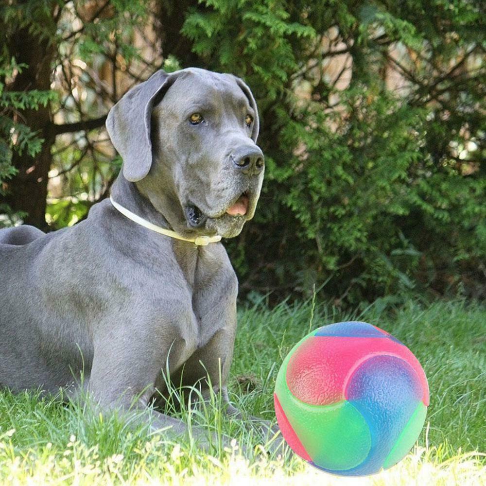 Danilo Bóng Nảy Đồ Chơi Có Đèn Nhấp Nháy Vui Nhộn Cho Bé