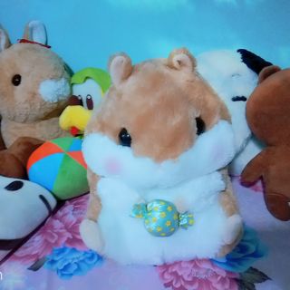 Gấu vu huong ( hình ảnh minh hoạ live trym)