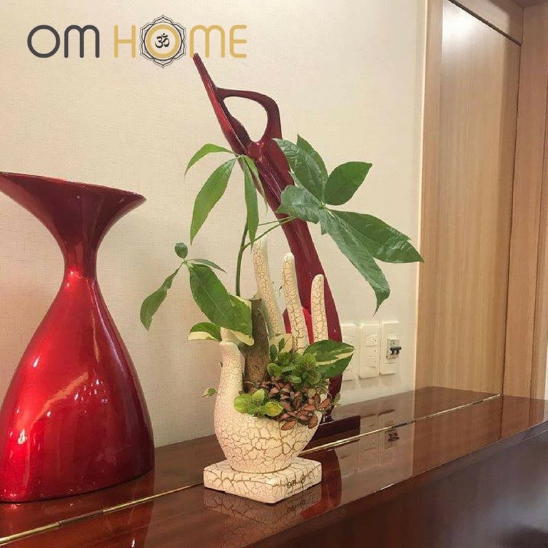 Ấn Vô Úy Có Cây Om Home