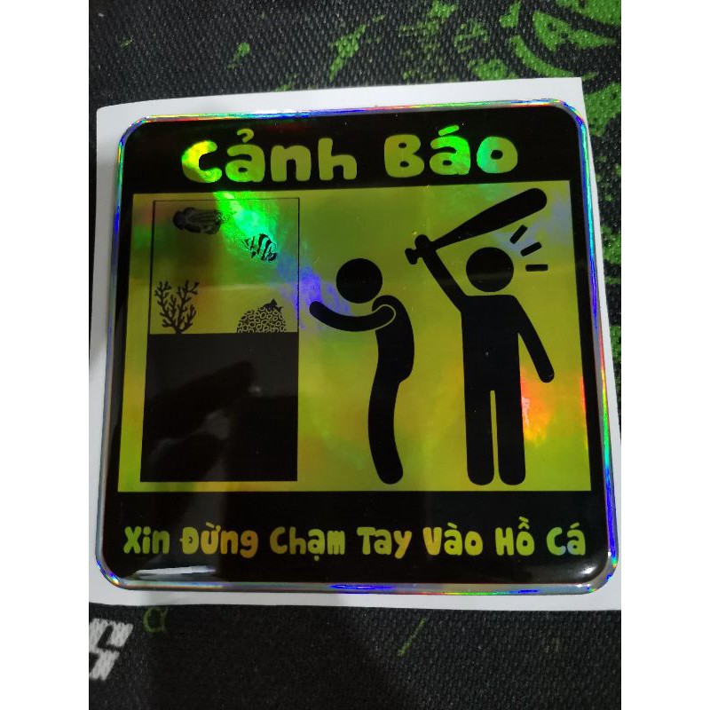 Logo cảnh báo không chạm vào hồ cá hài hước.