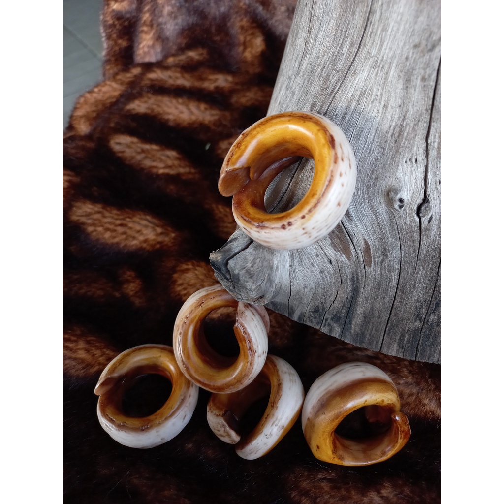 Nhẫn nanh heo nhân tạo độc lạ