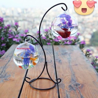 Bể cá mini kèm giá treo chữ S 2 bình sang trọng