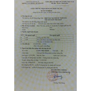 DẦU GỘI dân gian TMH