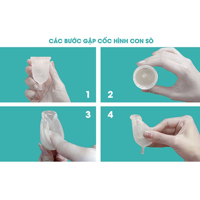 ✅Cốc Nguyệt San BeUcup Silicol Y Tế Wacker Đức Siêu Mềm, Đạt Chuẩn FDA Hoa Kỳ, Hàng Chính Hãng 👍[Freeship] ❤️