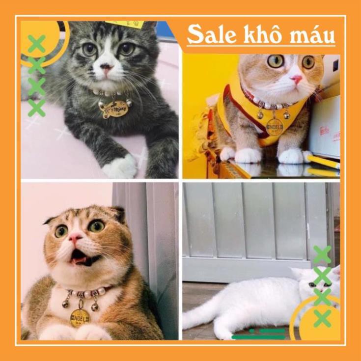 HÀNG CÓ SẴN 2 (Combo)Thẻ Tên Thú Cưng - Bảng Tên Chó Mèo, Pettag Bao Gồm Dây Gia Huy Pet Shop