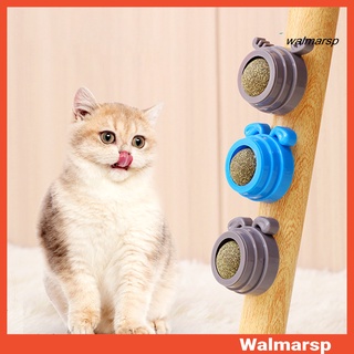 Quả Bóng Catnip Chống Cắn Thoải Mái Cho Mèo Cưng