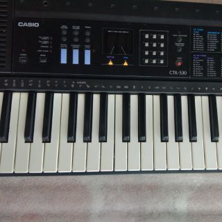 đàn ocgan ca si ô ctk 530