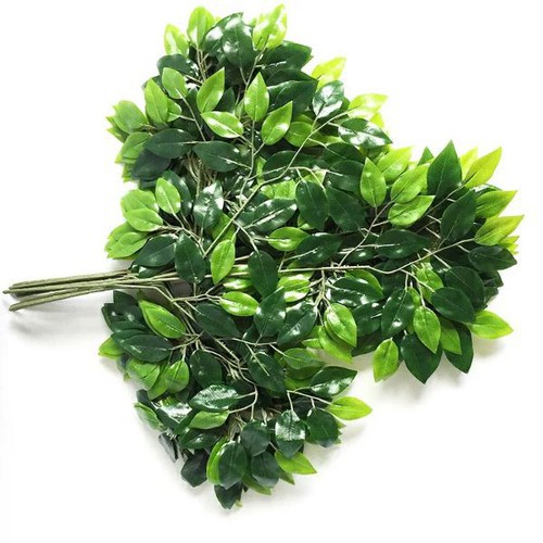 Lá Xi Làm Cây Giả Trang Trí
