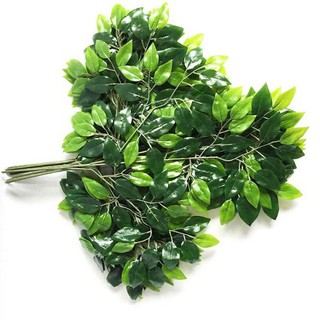Lá Xi Làm Cây Giả Trang Trí