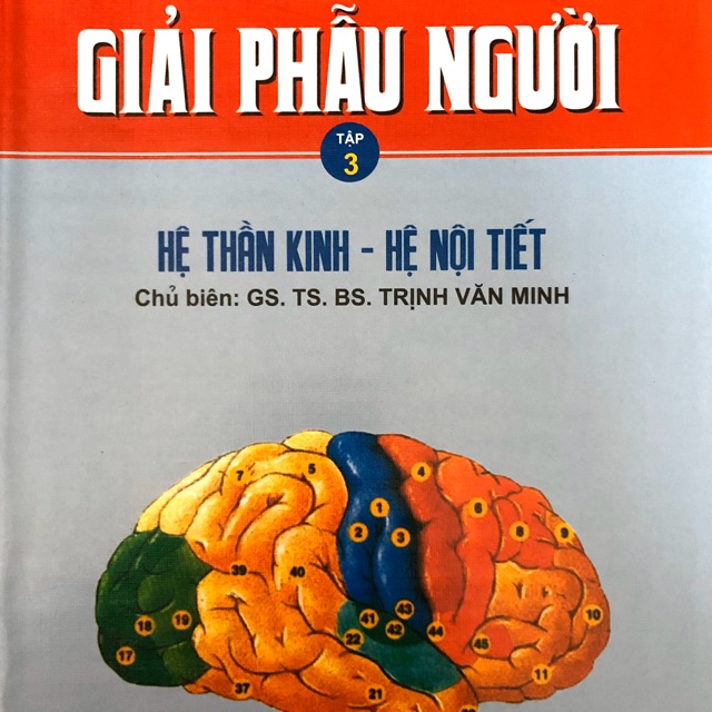 Sách - Giải phẫu người Tập 3 Hệ thần kinh- Hệ nội tiết