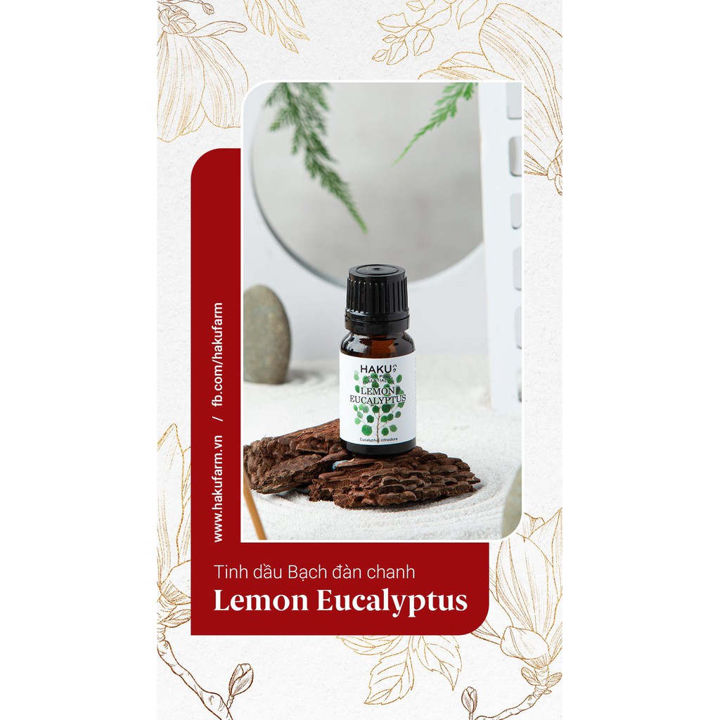 Tinh dầu bạch đàn chanh Lemon Eucalyptus