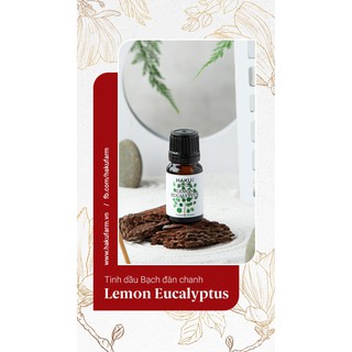 Tinh dầu bạch đàn chanh Lemon Eucalyptus