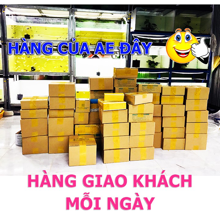 Artemia Trung Quốc Lon Đỏ Loại 1 - BETTA COFFY