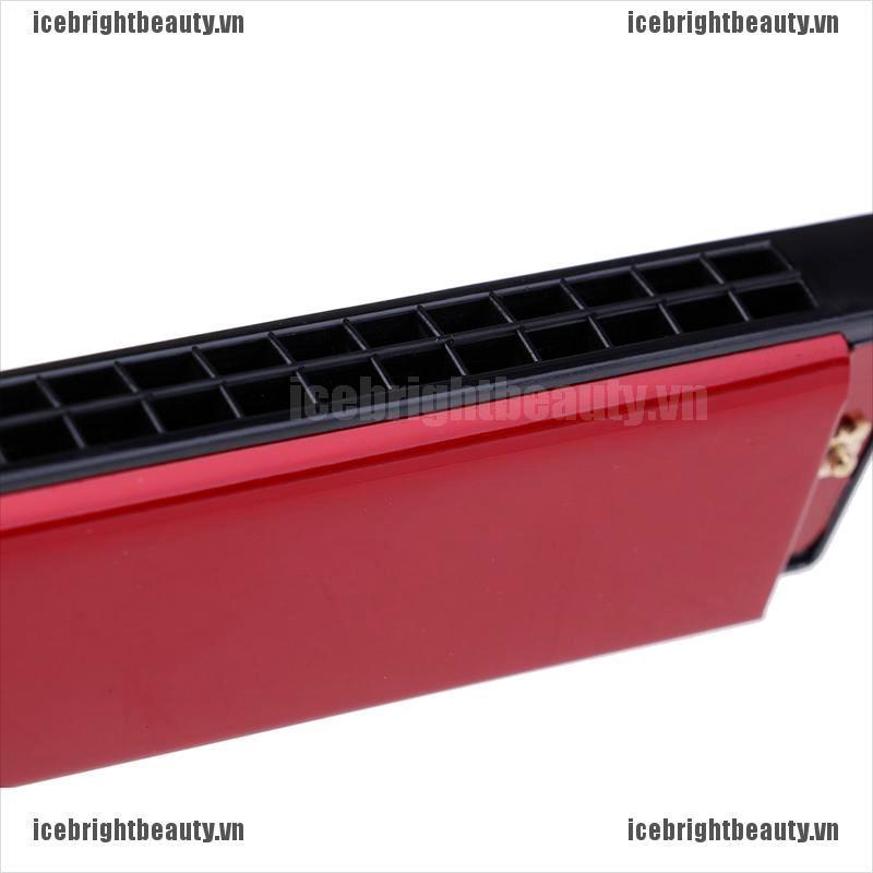 Kèn harmonica 24 Lỗ Chuyên Nghiệp Bằng Kim Loại
