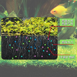 Phân Nền Gex Xanh 2kg