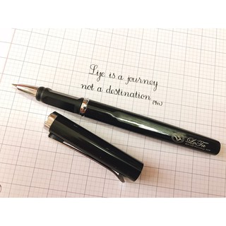 🌸 Bút mài LeTa 389 ngòi kim tinh thanh đậm