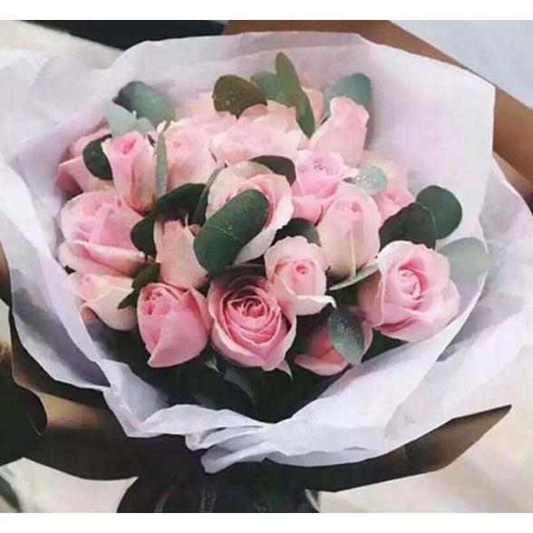 Sỉ Xấp 20 Tờ Giấy gói hoa bóng mờ đơn màu  - VPP HANI