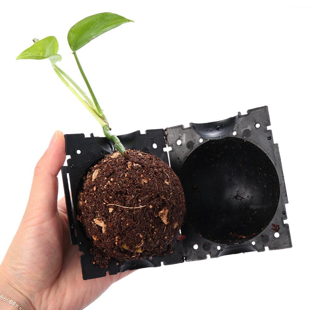 GOGOUP Hộp Điều Khiển Rễ Cây 3 Kích Cỡ Khác Nhau