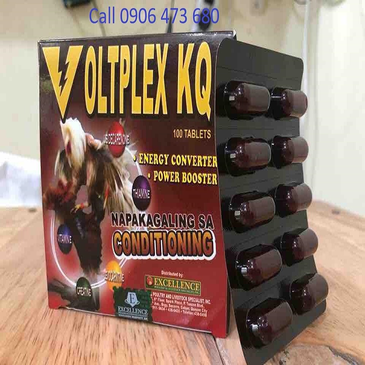 Voltplex kq Tăng bo cho gà sắp đá vỉ 10 viên hàng Phi