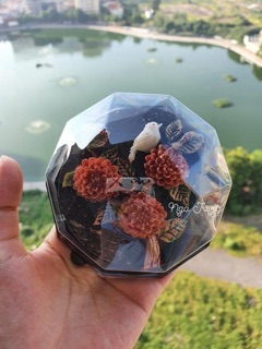 🍰 Hộp nhựa đựng bánh đế đen nắp đa giác