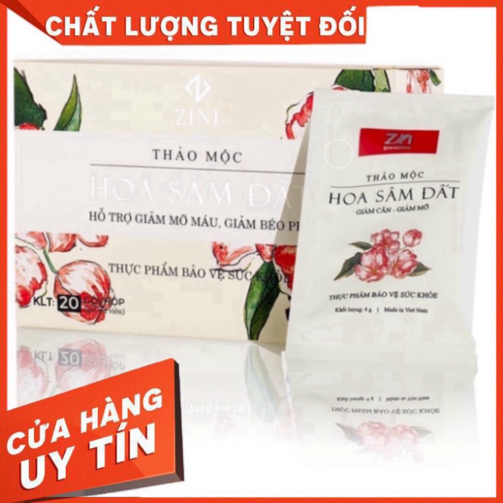 TRÀ THẢO MỘC HOA SÂM ĐẤT