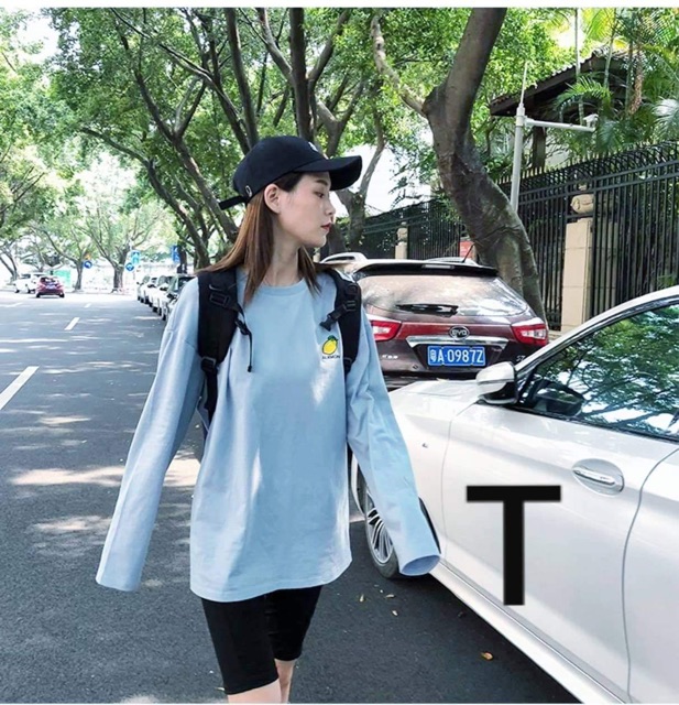 Áo thun in hình các loại quả góc ngực DTR0819