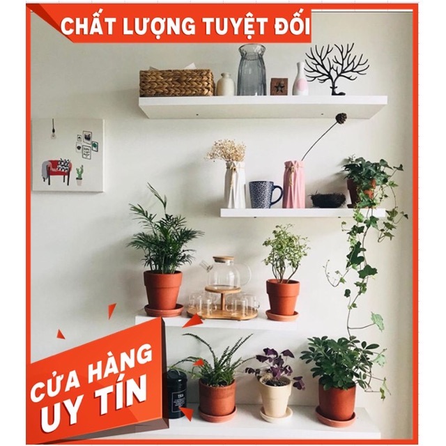 Kệ gỗ treo tường trang trí sét 3 thanh 60x15