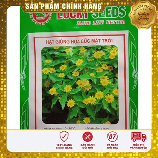 Hạt Giống Cúc Mặt Trời(50-100 hạt)