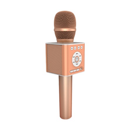 Micro karaoke kèm loa Bluetooth Tosing Q12 - Bảo hành 1 năm