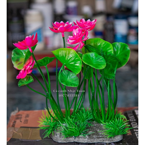 BỤI SEN GIẢ TRANG TRÍ BỂ CÁ NON BỘ TIỂU CẢNH CAO 20CM