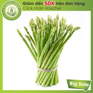 [50H] Hạt Giống Măng Tây Xanh F1 Nhập USA
