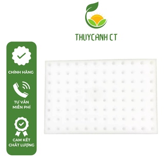 96 viên Mút xốp ươm hạt, mút ươm hạt thủy canh