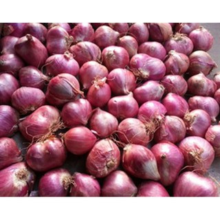 Hành indo loại 1 - ngon đảm bảo chất lượng 1kg/ 500gr/ 200gr