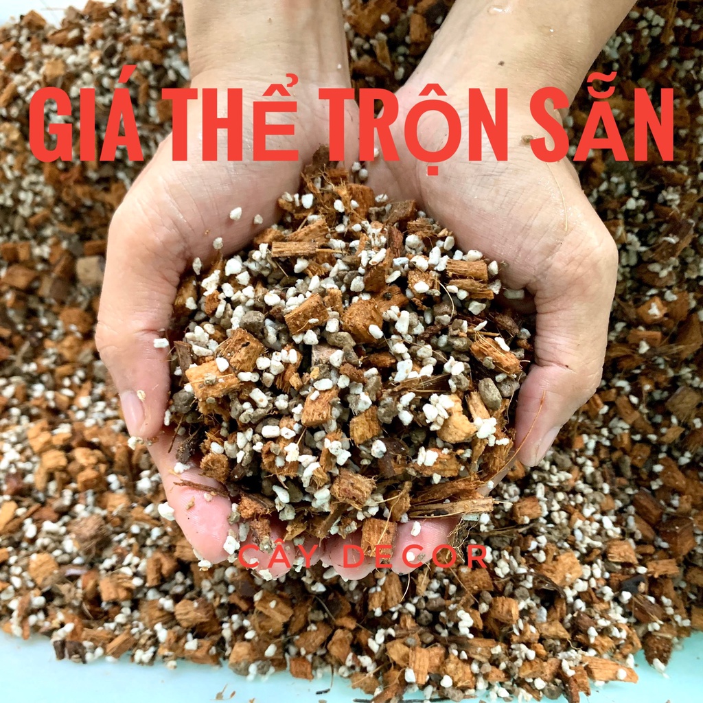 Giá thể TRỘN chất lượng cho cây trong nhà, kiểng lá, túi 1,5kg