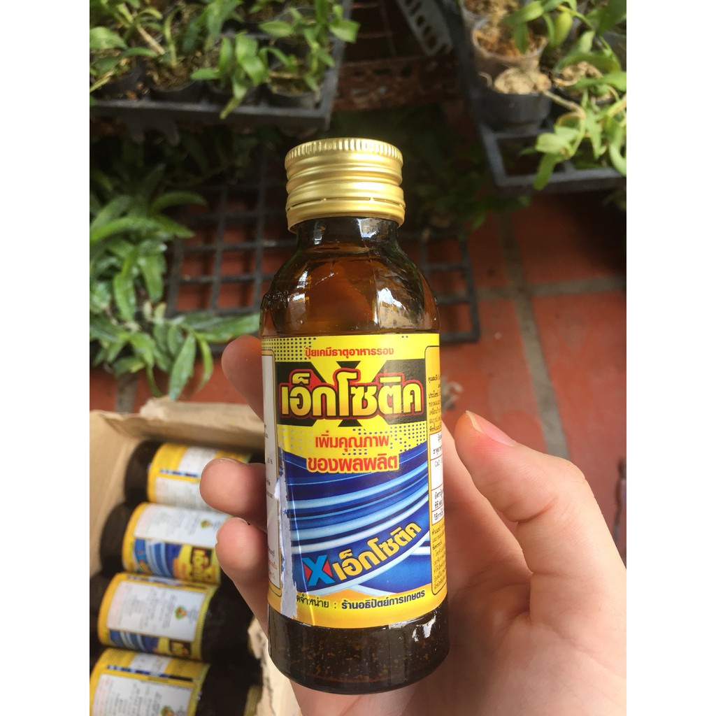 [Hàng chuẩn zin]KÍCH RỄ THÁI EXOTIC