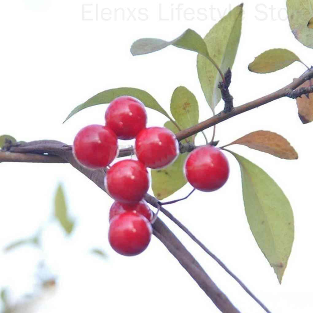 Bộ 100 quả mọng nhân tạo dùng cho trang trí giáng sinh