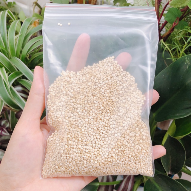 Quinoa (diêm mạch trắng) hữu cơ Kirkland Signature