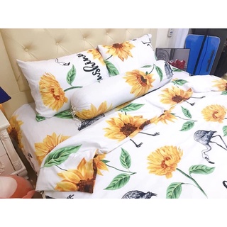 Set vỏ chăn ga gối đũi - hàng thanh lí