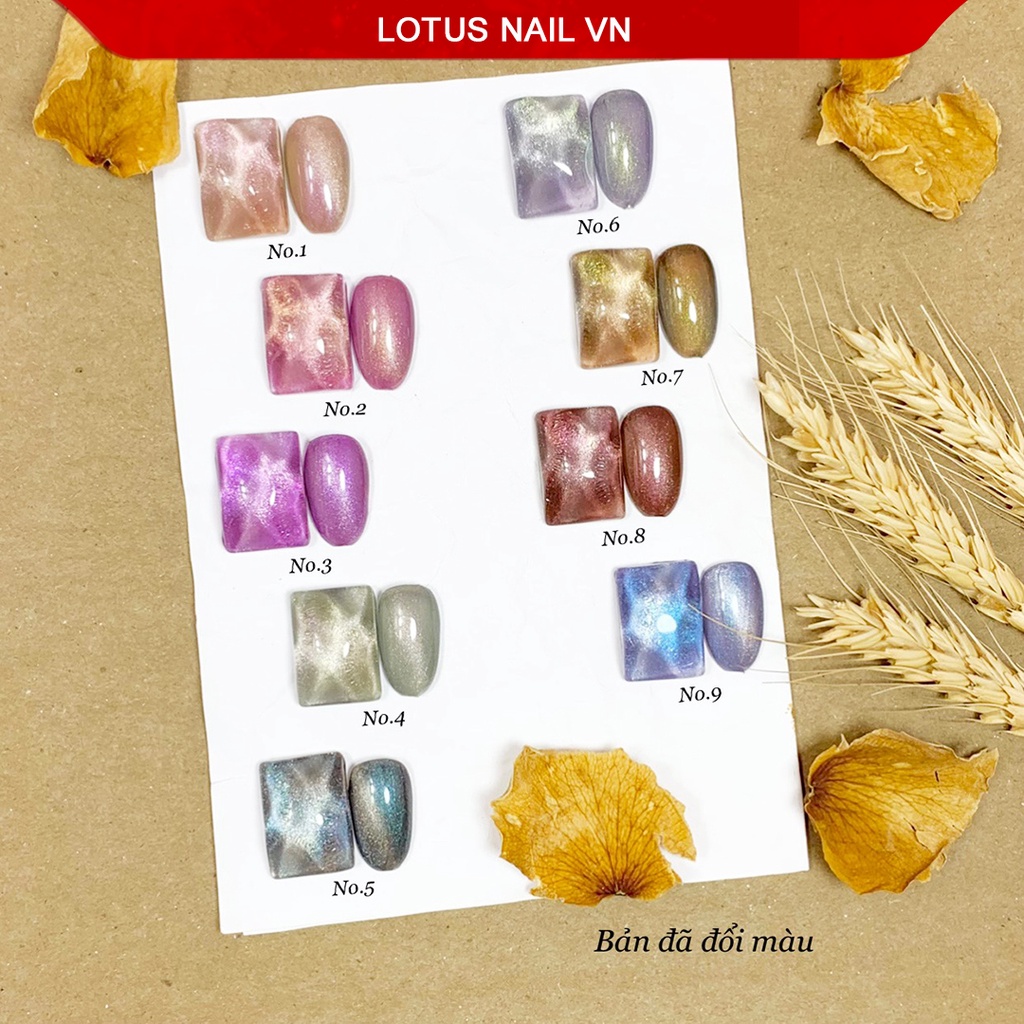 Sơn mắt mèo kim cương Vendeeni đổi màu theo ánh sáng độc đáo chai 15ml