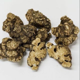 100g xuyên khung