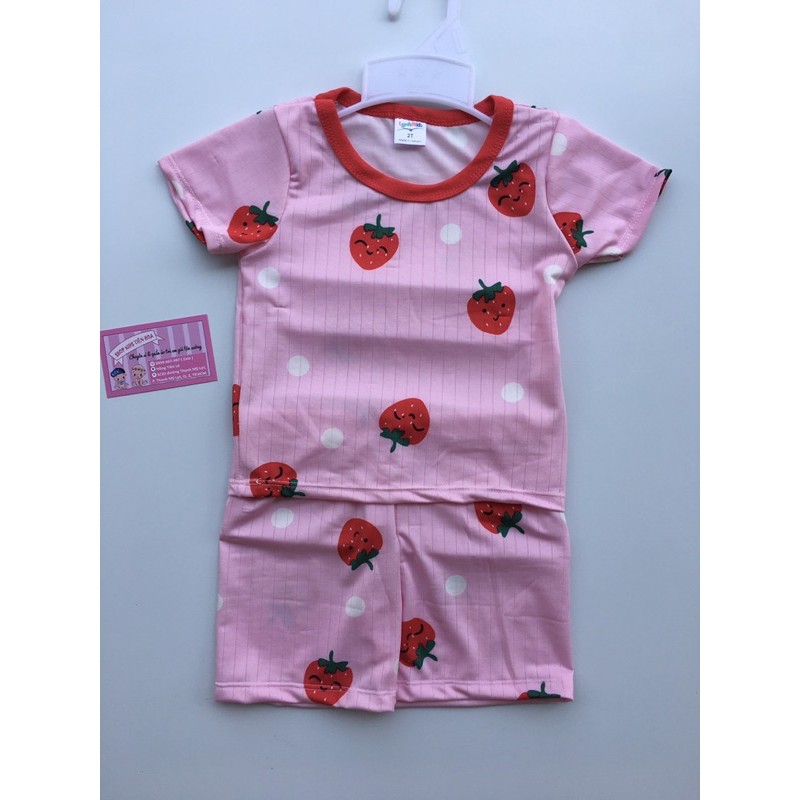 [ XẢ KHO ] Bộ thun lạnh hoa quả cho bé trai bé gái từ 7-19kg