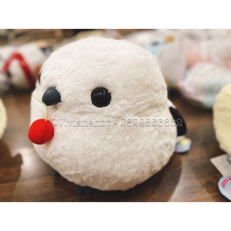 Chim bông xinh xinh - Toreba