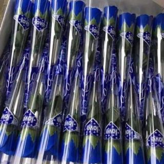 Hoa hồng sáp