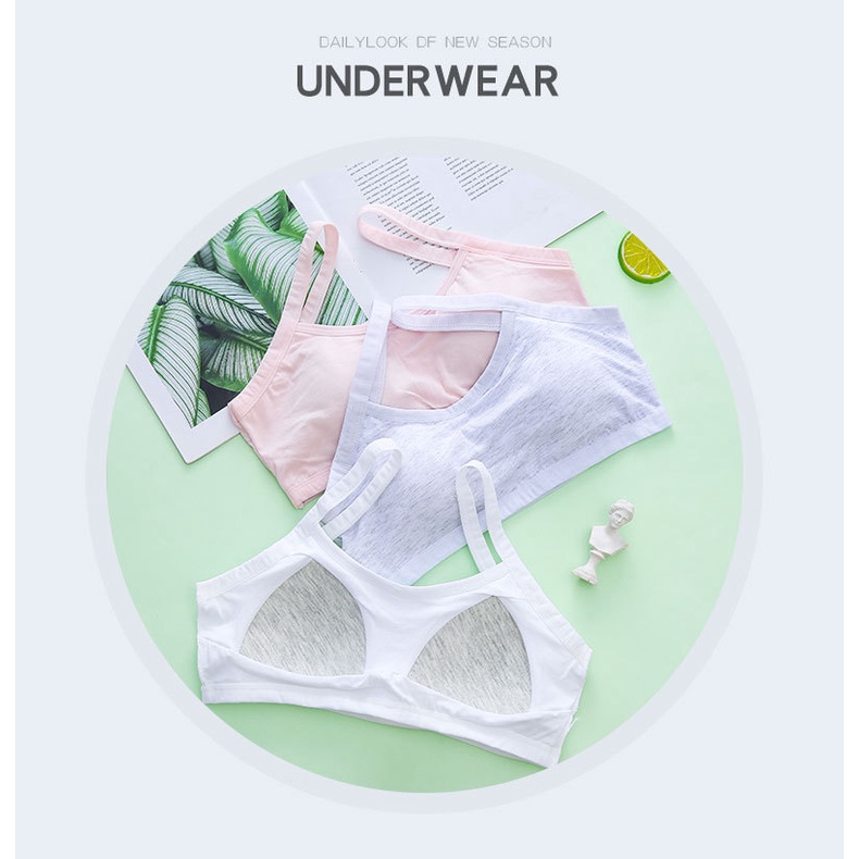Áo Lót hàng cao cấp có lót Bé Gái Học Sinh Chất 100% Cotton