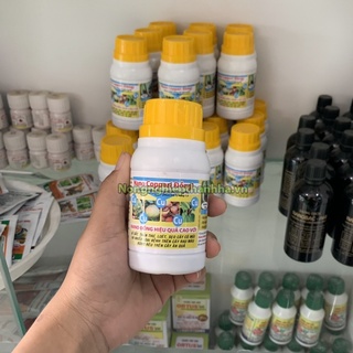 Combo 3 lọ Nano Đồng thuốc trị gỉ sắt, thán thư - T20.2