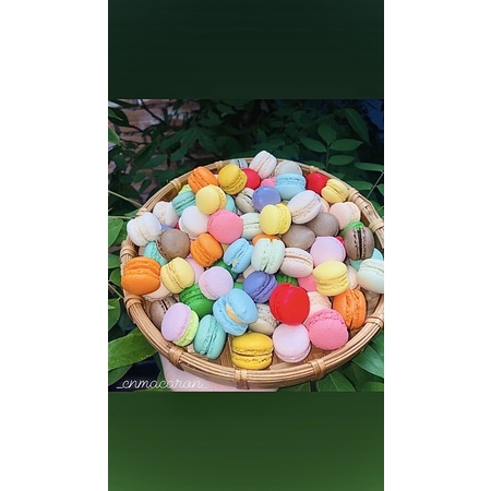 Set 50c macaron mini kèm hộp