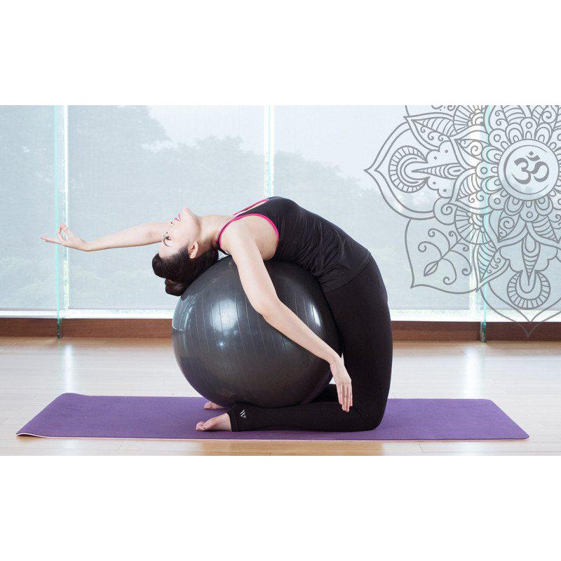 Bóng tập cát Yoga cao cấp SHUA 65cm - Tặng kèm bơm bóng và phụ kiện